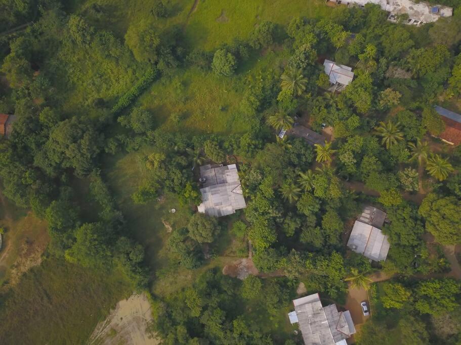 Sigiriya Village Home Stay ภายนอก รูปภาพ
