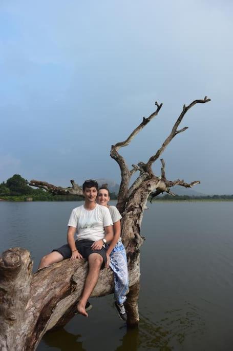 Sigiriya Village Home Stay ภายนอก รูปภาพ